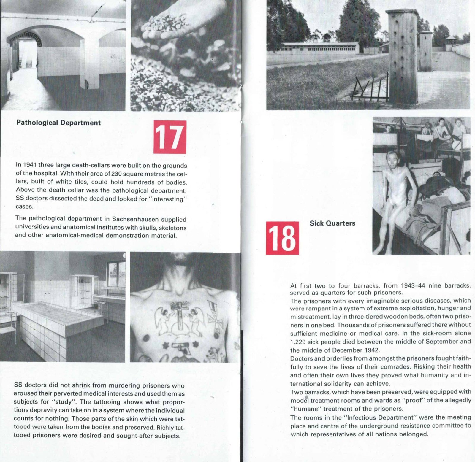 Sachsenhausen Concentration Camp In The DDR - 7