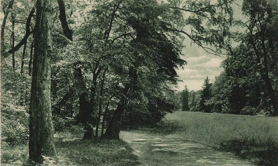 A Serial Killer In Nazi Berlin - Paul Ogorzow - The Laubengelände between Rummelsburg, Friedrichsfelde und Karlshorst - where Ogorzow's early attacks would take place